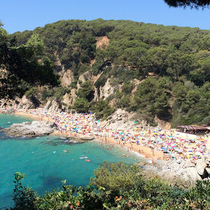 Meet your Posher, Veronika